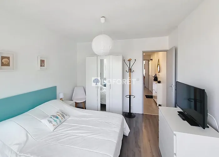 Apartamento Avec Parking Et Wifi Pres De La - Fr-1-746-33